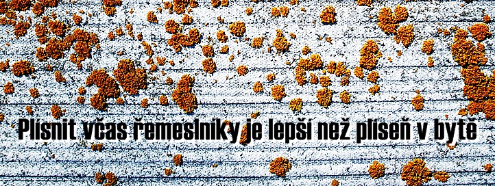 Plisen